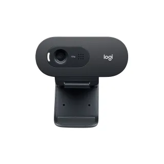 Logitech Webcam C505e HD Bulk