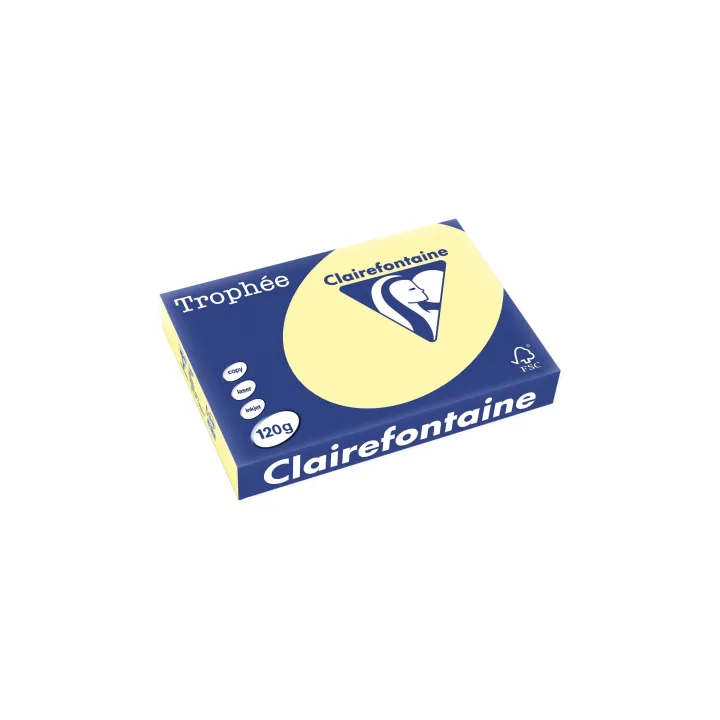 Clairefontaine Papier pour photocopie TrophéeColoredCopy FSC A4, Jaune,120 g-m²