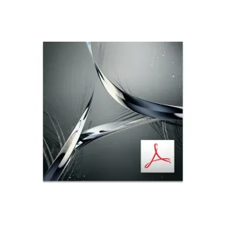 Adobe Acrobat Standard DC Version complète, Niveau 3-50-99, 1 an, MP