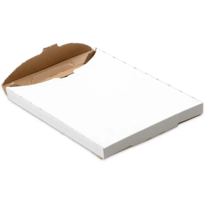 ELCO Carton d’expédition 172 x 16 x 243 mm, 25 pièces