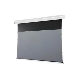 Celexon Écran mural motorisé HomeCinema Plus Tension 221.4x124.5 cm Blanc