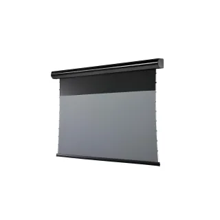 Celexon Écran mural motorisé HomeCinema Plus Tension 265.7x149.4 cm Noir