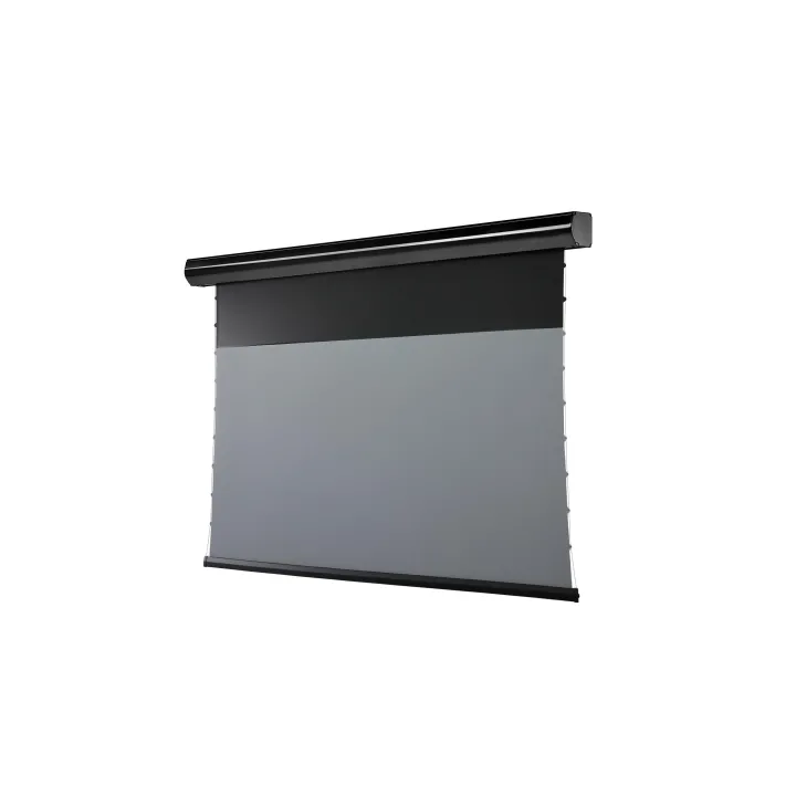 Celexon Écran mural motorisé HomeCinema Plus Tension 265.7x149.4 cm Noir