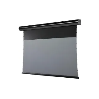 Celexon Écran mural motorisé HomeCinema Plus Tension 221.4x124.5 cm Noir