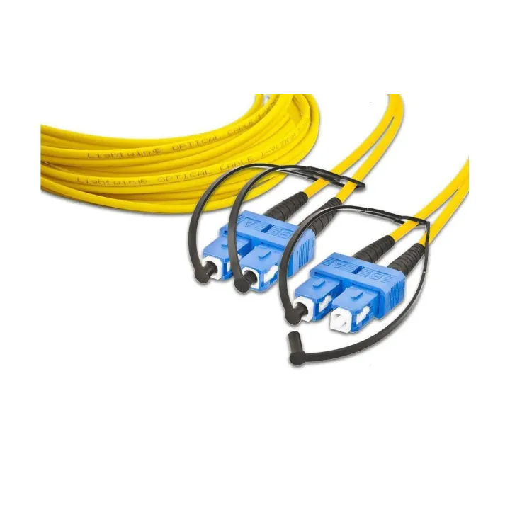 Lightwin Câble patch à fibre optique Singlemode SC – SC, OS2, Duplex, 10 m