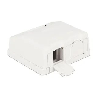 Delock Boîtier Keystone 2 fois, blanc