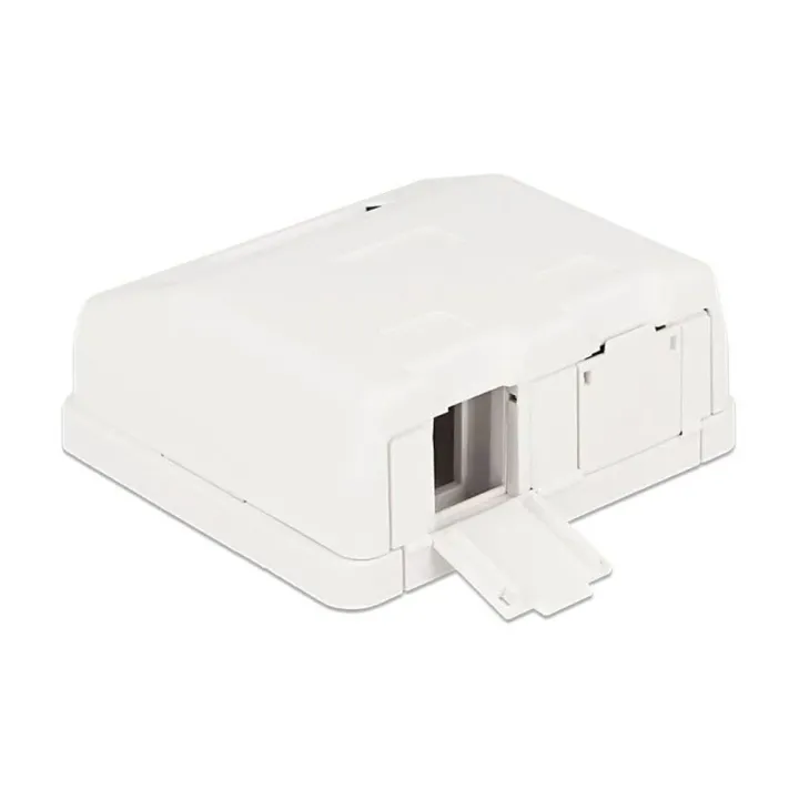 Delock Boîtier Keystone 2 fois, blanc