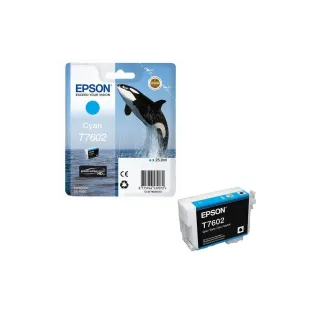 Epson Encre C13T76024010 Cyan