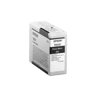 Epson Encre C13T850100 Photo Black