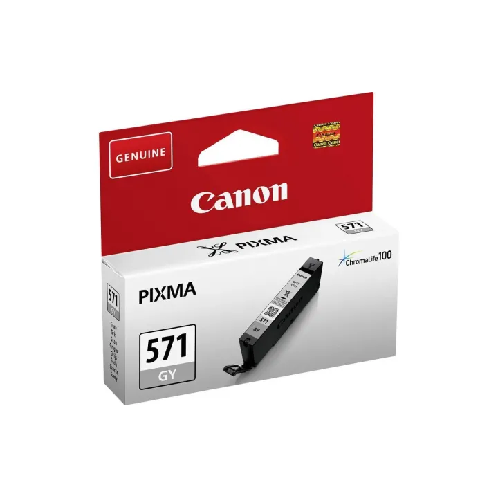 Canon Encre CLI-571GY - 0389C001 Grey