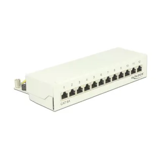 Delock Panneau de réseau 12 Port Desktop Cat.6A LSA blanc