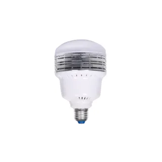 Dörr Ampoule de rechange 25 Watt E27 pour DL400