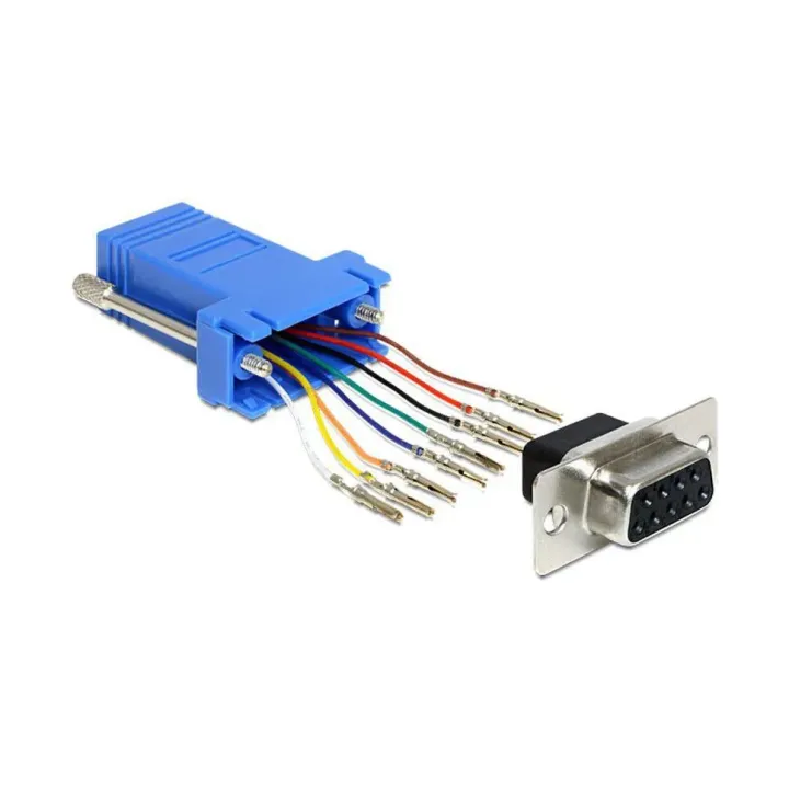 Delock Adaptateur RJ-45 - RS-232 DB9 (f-f) 0 m