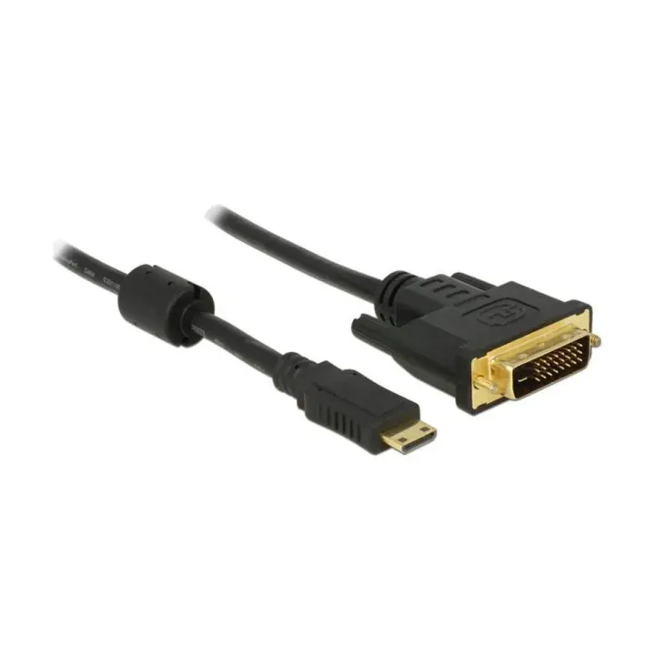 Delock Câble Mini-HDMI (HDMI-C) - DVI-D, 1 m