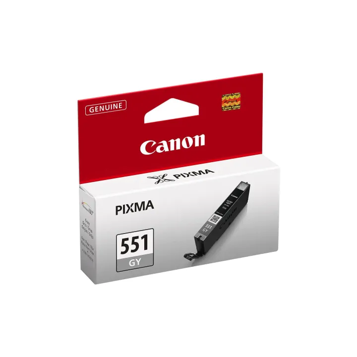 Canon Encre CLI-551GY Grey