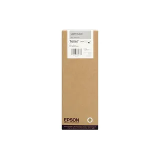 Epson Encre C13T606700 Light Black