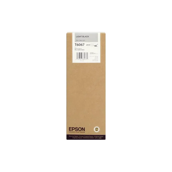 Epson Encre C13T606700 Light Black