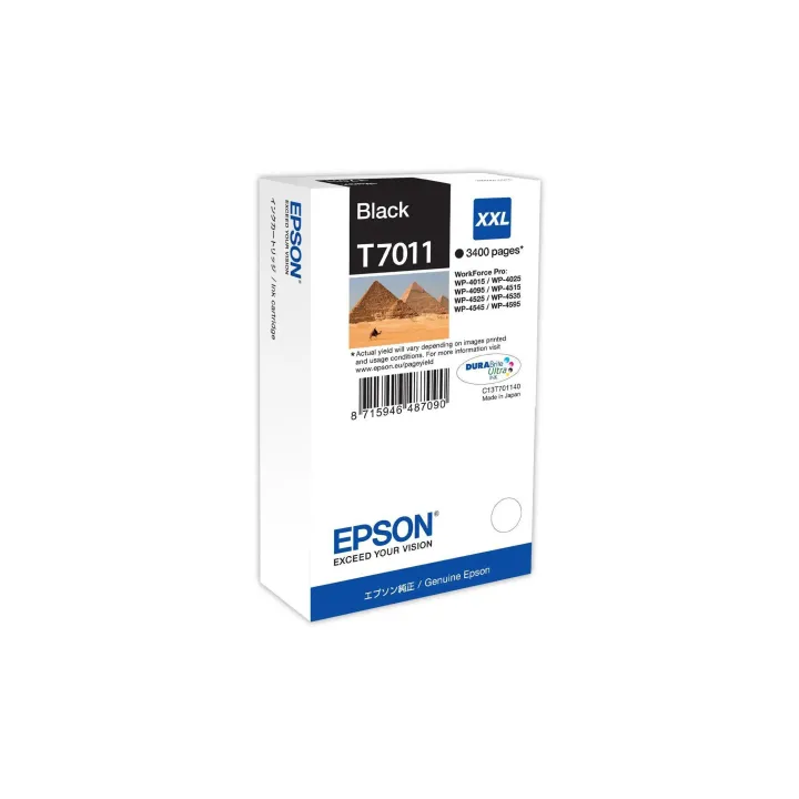 Epson Encre C13T70114010 noir