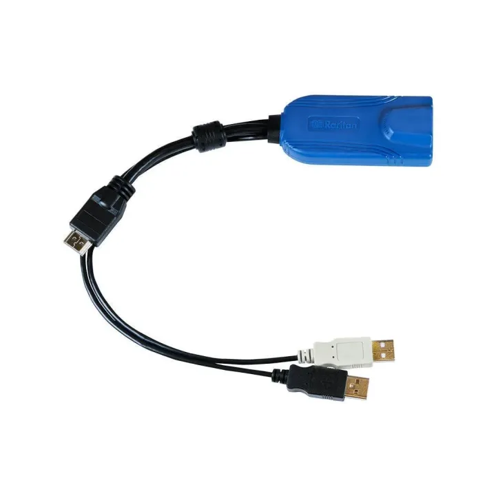 Raritan Câble KVM D2CIM-DVUSB-HDM