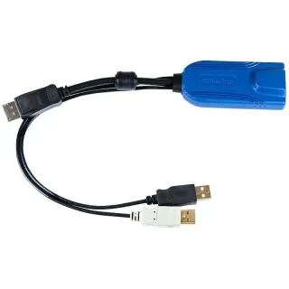 Raritan Câble KVM D2CIM-DVUSB-DP