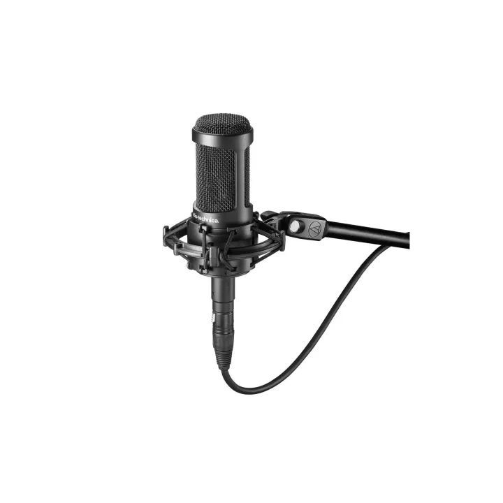 Audio-Technica Microphone AT2050