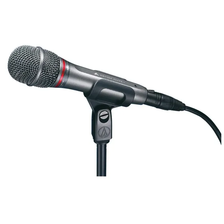 Audio-Technica Microphone AE6100