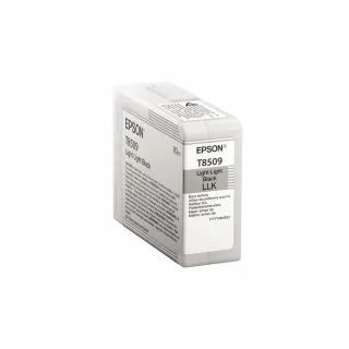 Epson Encre C13T850900