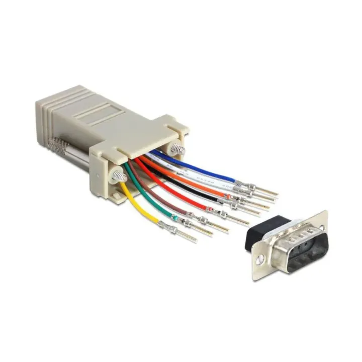 Delock Adaptateur RJ-45 - RS-232 DB9 (f-m) 0 m