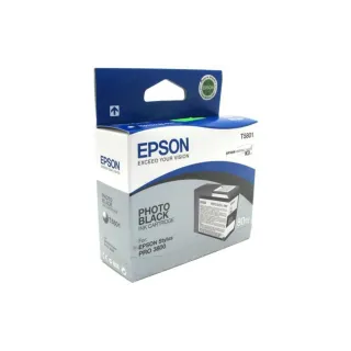 Epson Encre C13T580100 Photo Black