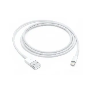 Apple Câble USB 2.0 USB A - Lightning 1 m