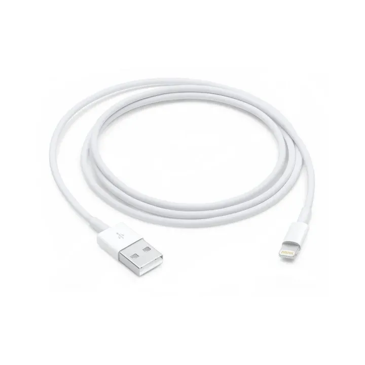 Apple Câble USB 2.0 USB A - Lightning 1 m