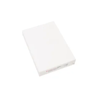 Fischer Papier Papier pour photocopie A4, Blanc, 80 g-m², 2500 Feuille