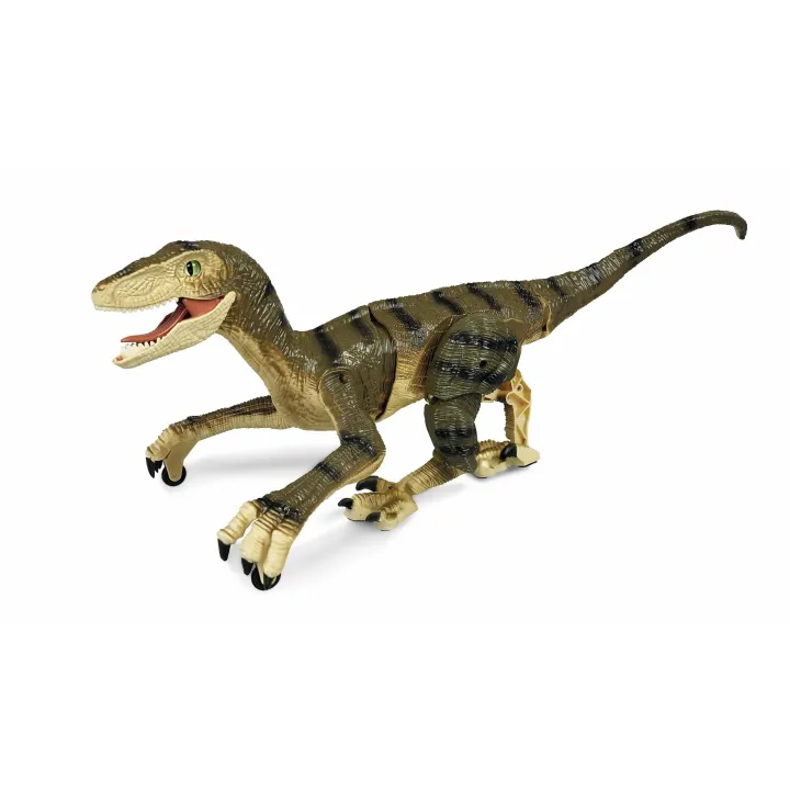 Amewi RC Dinosaure Velociraptor, brun RTR