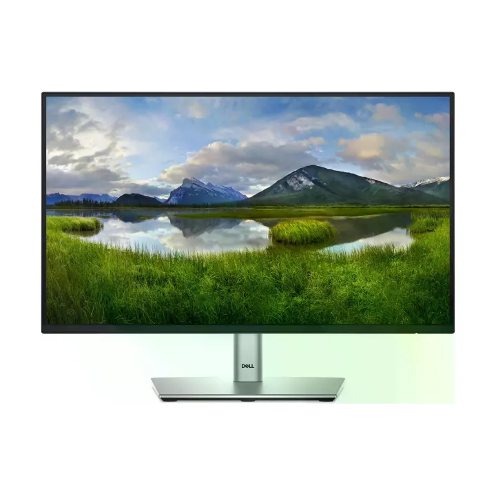 DELL Moniteur P2225H