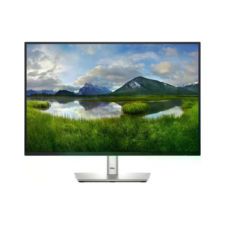 DELL Moniteur P2425