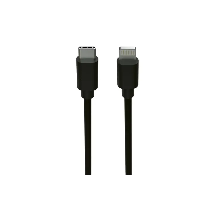 Ansmann Câble USB Lightning USB C, 200 cm