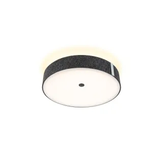 Paulmann Plafonnier LED Malika 2700K 29W Anthracite