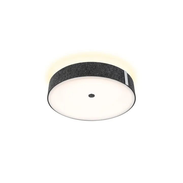 Paulmann Plafonnier LED Malika 2700K 29W Anthracite