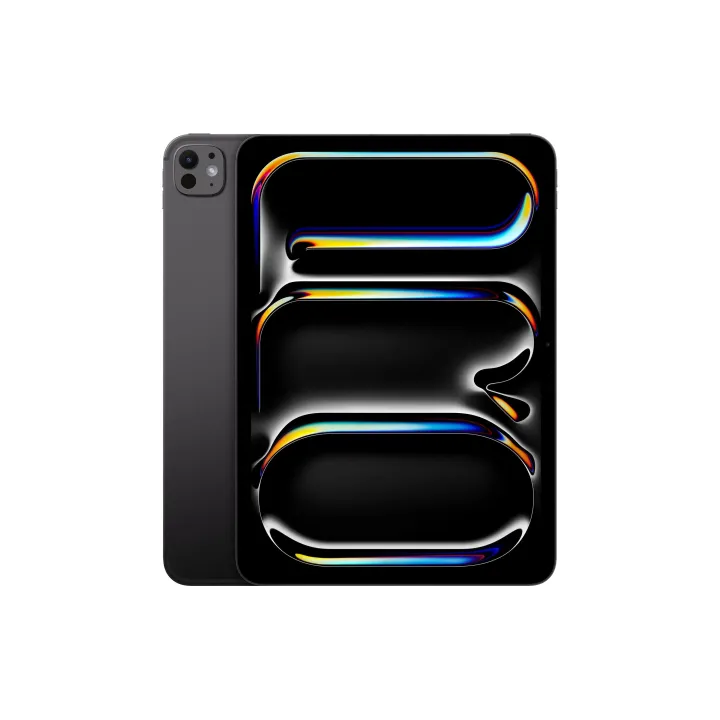 Apple iPad Pro 11 M4 Cellular 2024 2000 GB Space noir