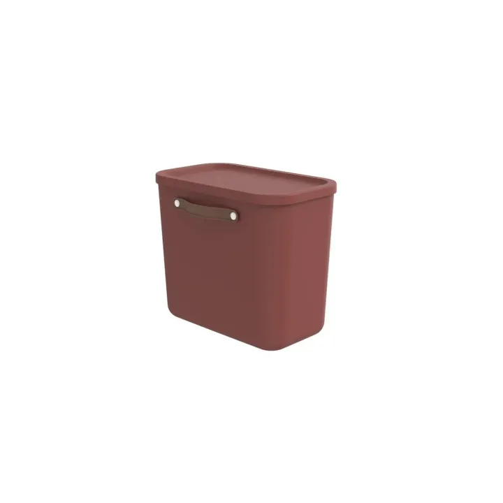 Rotho Boîte de rangement Maloja 25 l, Iron Rouge