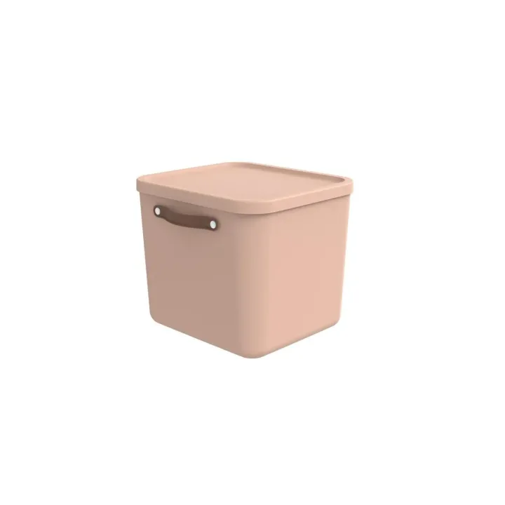 Rotho Boîte de rangement Maloja 40 l, Meadow Rose