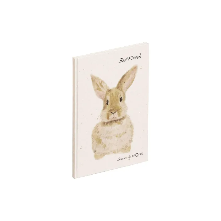 Pagna Livre d’amis Lapin