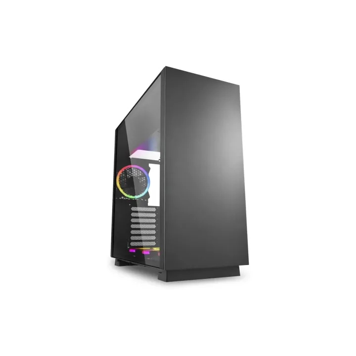 Sharkoon Boîtier d’ordinateur Pure Steel RGB Noir