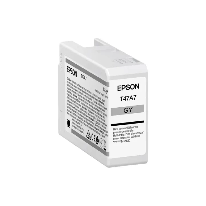 Epson Encre C13T47A700 Grey