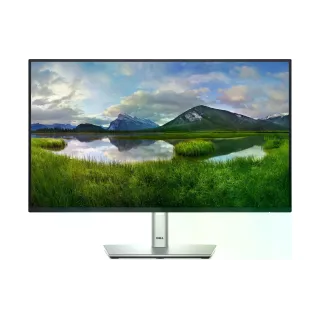 DELL Moniteur P2425HE