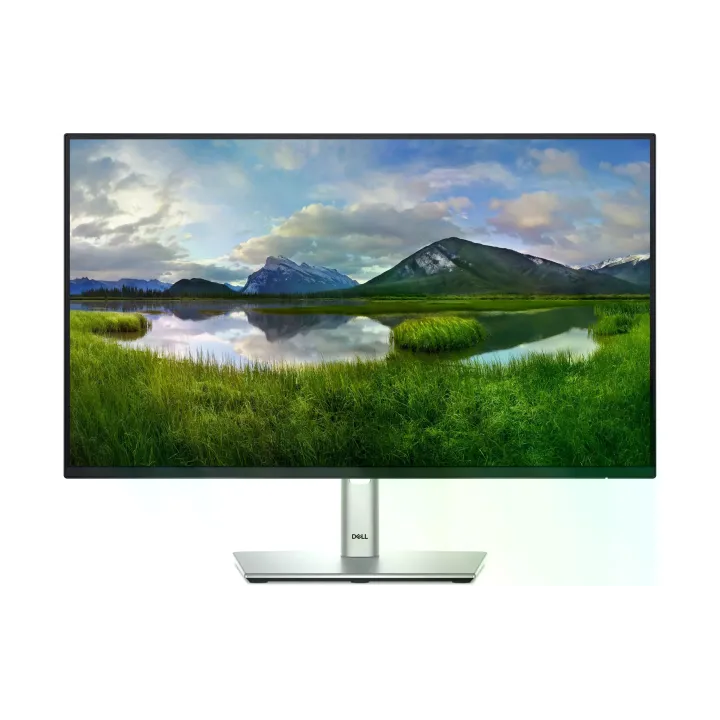 DELL Moniteur P2425HE