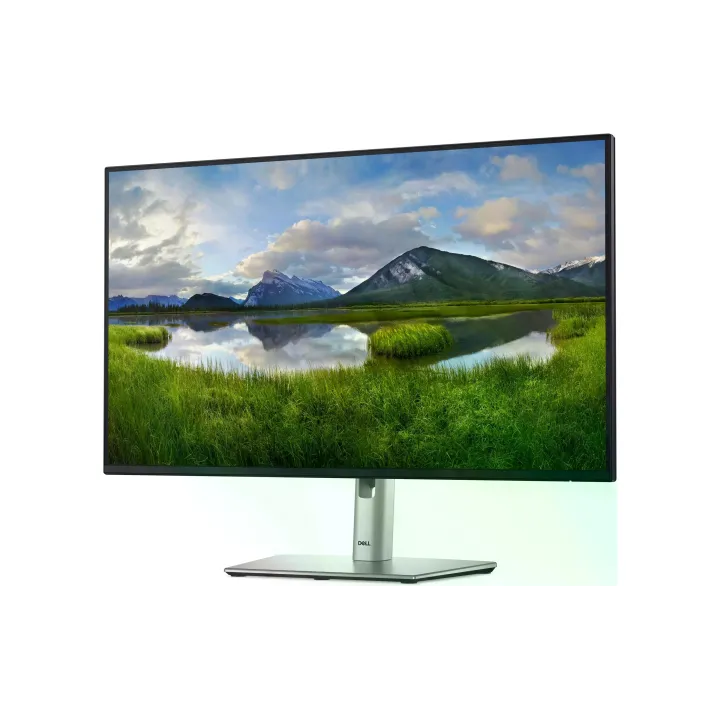 DELL Moniteur P2725HE