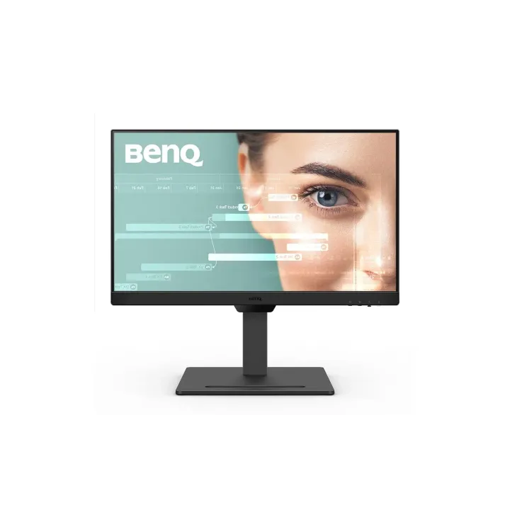 BenQ Moniteur GW2490T