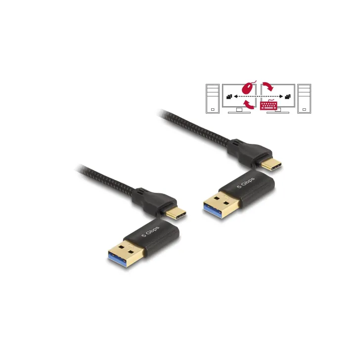 Delock Câble Data Link USB A-USB C - USB A-USB C 2 m