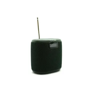 Pure Radio Woodland Mini Vert